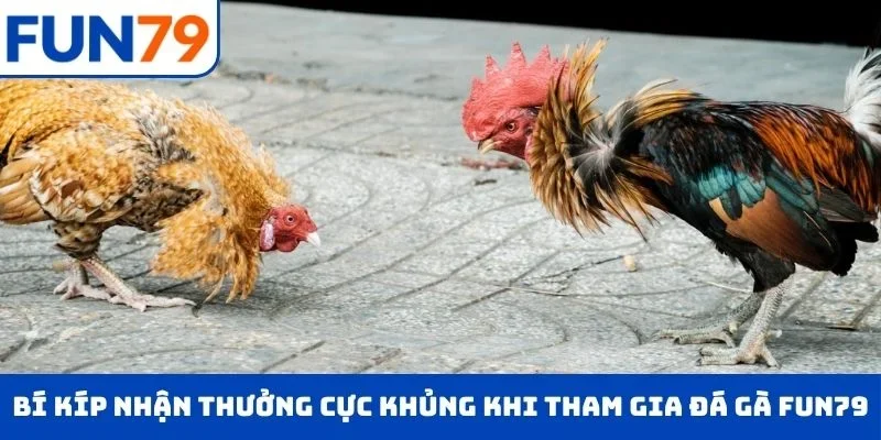 Đá Gà Trực Tiếp – Chọn Cửa Cược Tỉ Mĩ , Rinh Ngay Tiền Tỷ Bí kíp nhận thưởng cực khủng khi tham gia đá gà tại FUN79