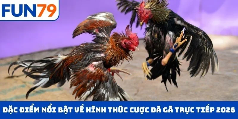 Đá Gà Trực Tiếp – Chọn Cửa Cược Tỉ Mĩ , Rinh Ngay Tiền Tỷ Đặc điểm nổi bật về hình thức cược đá gà trực tiếp 2026