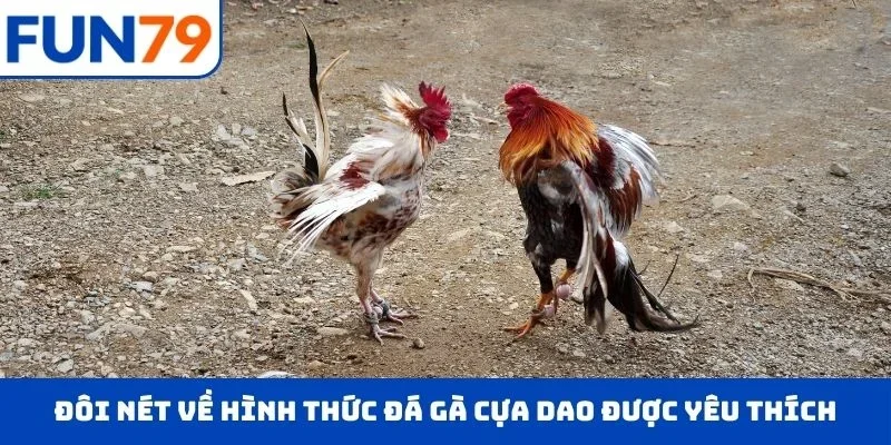 Đôi nét về hình thức đá gà cựa dao được hội viên yêu thích