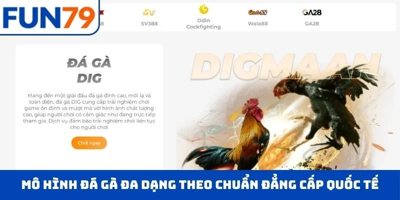 Trang Chủ Mô hình đá gà đa dạng theo chuẩn đẳng cấp quốc tế