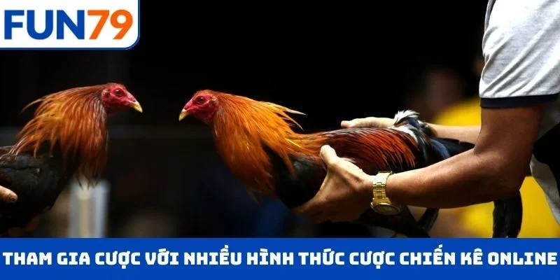 Đá Gà Trực Tiếp – Chọn Cửa Cược Tỉ Mĩ , Rinh Ngay Tiền Tỷ Tham gia cược với nhiều hình thức cược chiến kê online siêu hot